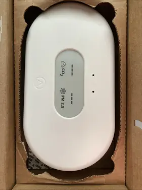 2969 Airthings Air Monitor For Businesses Model