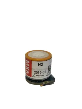 17124975-c Industrial Scientific H2 Replacement Sensor For Mx6 Mfg 2019-01