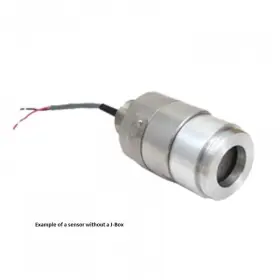 65-2514rk Rki Capillary Type Explosion Proof Oxygen Sensor To 25% Volume