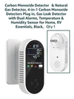 4 In 1 Natural Gas Detector & Carbon Monoxide - New. Price: $24.95.