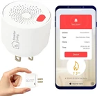 Smarter Living Wifi Gas Detector Natural Propane Methane Leak Alarm App - White New. Price: $19.99.