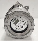 Status-scientific FGD10A Flameproof Gas Detector Used. Price: $415.00.