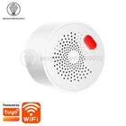 Natural Gas Sensor Combustible Household Smart Wifi Detector Leakage Alarm New. Price: $9.50.