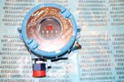 Det-tronics U8700H7147 Combustible Gas Detector New. Price: $895.75.